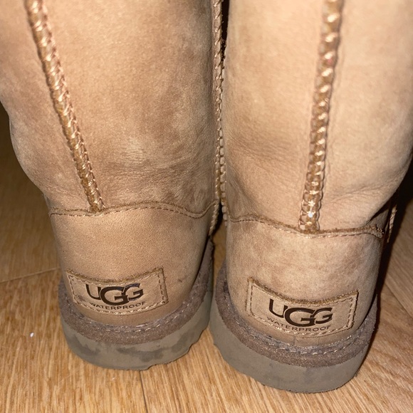 Used Uggs - Picture 2 of 5